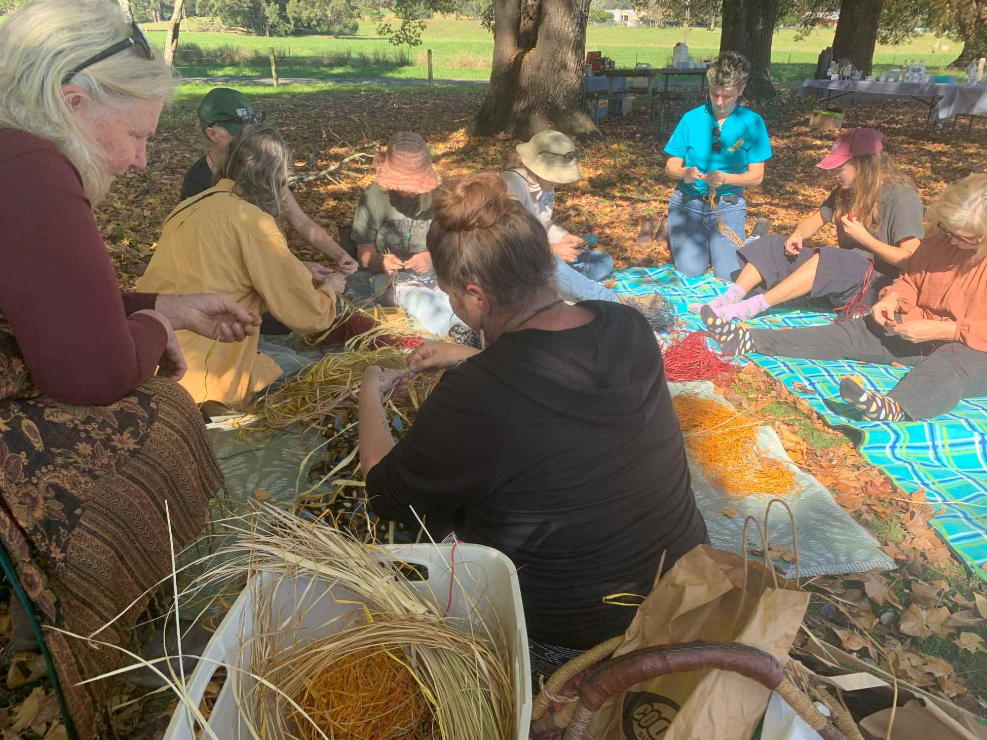 Cultural knowledge sharing in Areas of Regional Koala Significance (ARKS)