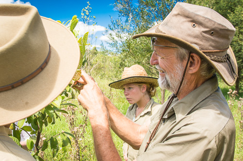Bucca Valley Revegetation Workshop