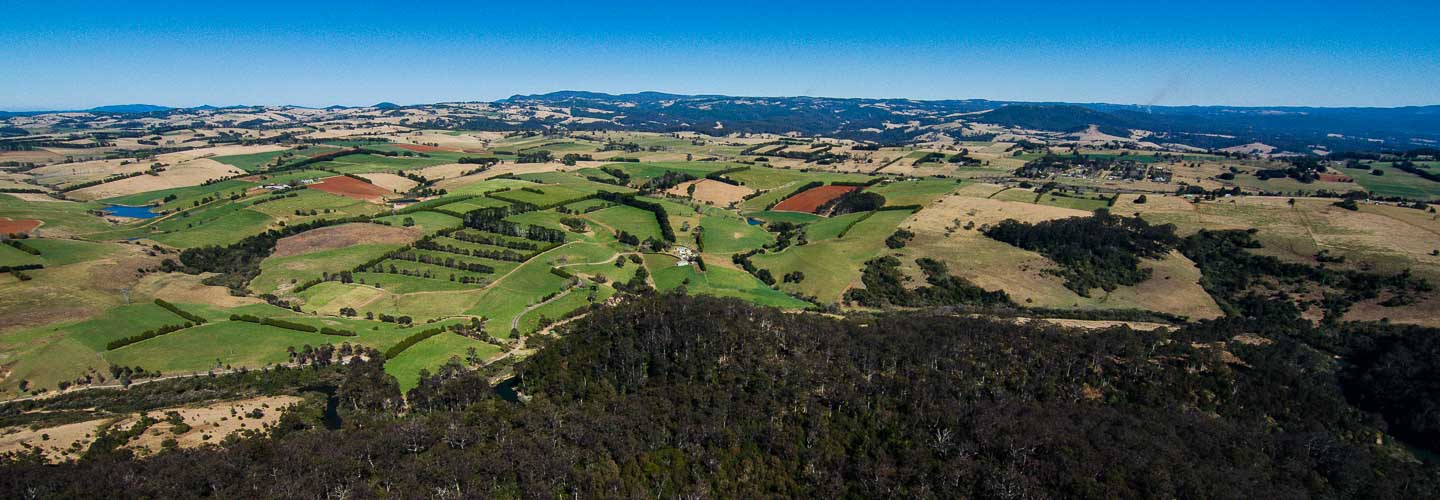 Bush Connect – Jaliigirr Landscape Connections in the Great Eastern Ranges