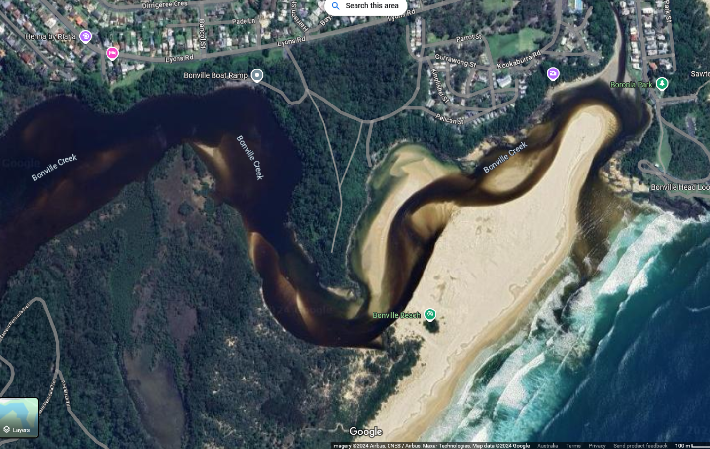Dolmans Point Littoral Rainforest Restoration