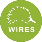 WIRES